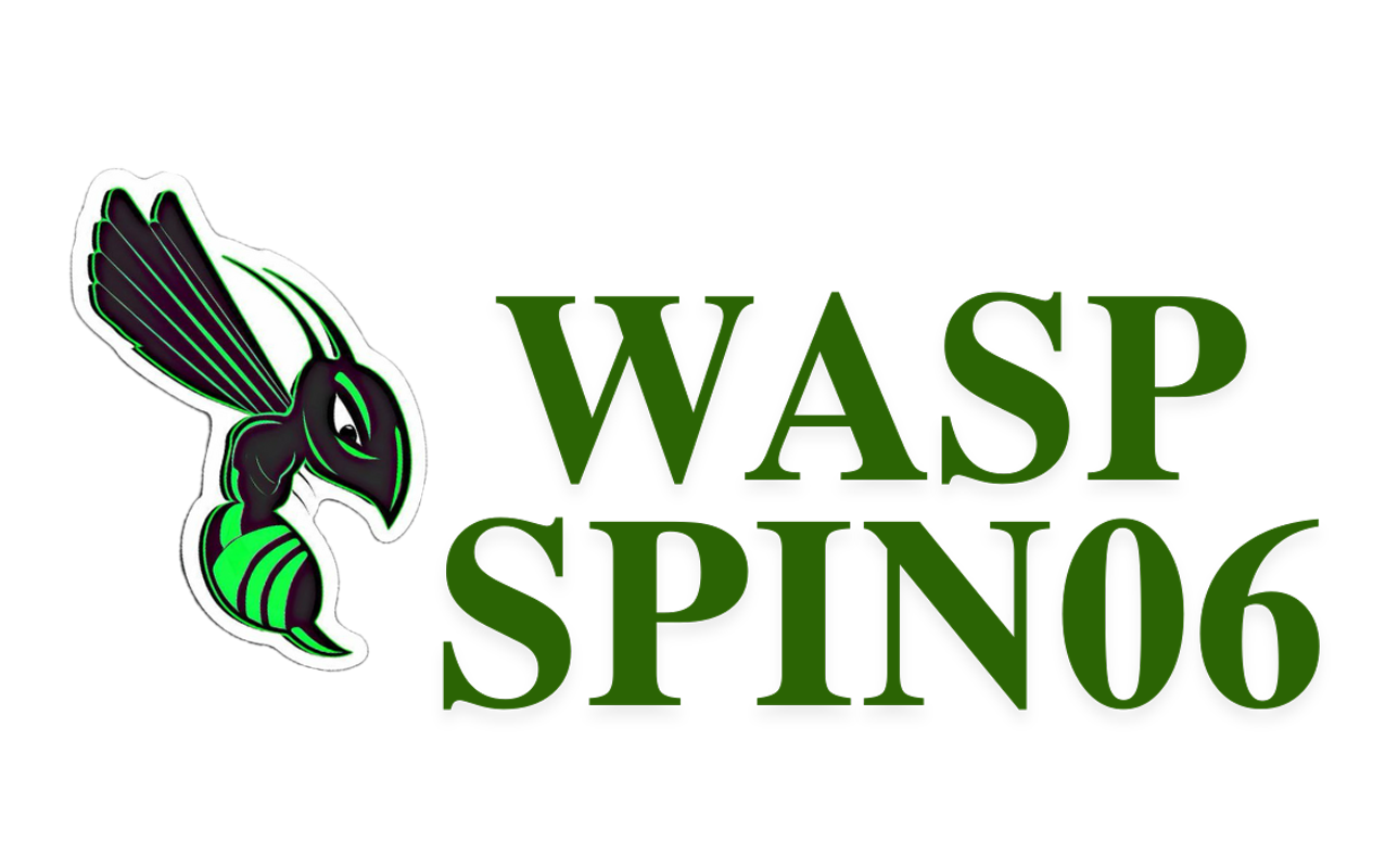 waspspin06.net